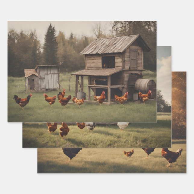 Rustic Chicken  Wrapping Paper Sheet (Set)