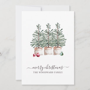 Rustic Christmas Pine Trees Holiday Flat Card