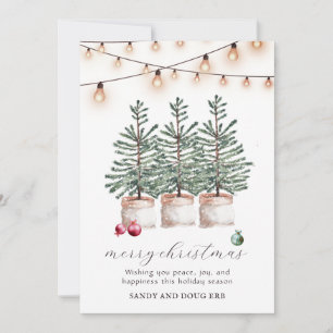 Rustic Christmas Trees Holiday Card