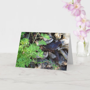 Rustic Citronella Leaf Portrait Card