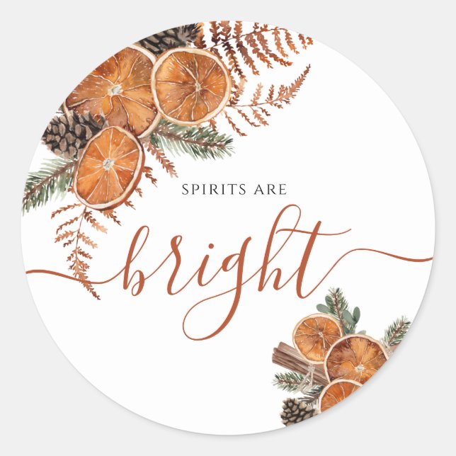 Rustic Citrus And Pine Winter Holiday  Classic Round Sticker (Front)