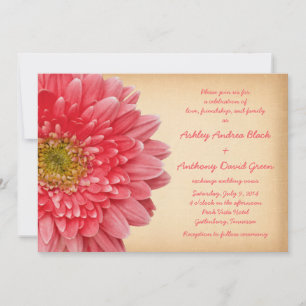 Rustic Coral Gerbera Daisy Wedding Invitation