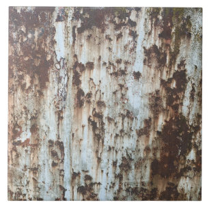 Rustic Corrugated Metal Tile