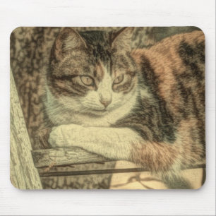 Rustic country cat lover farmhouse calico cat mouse mat