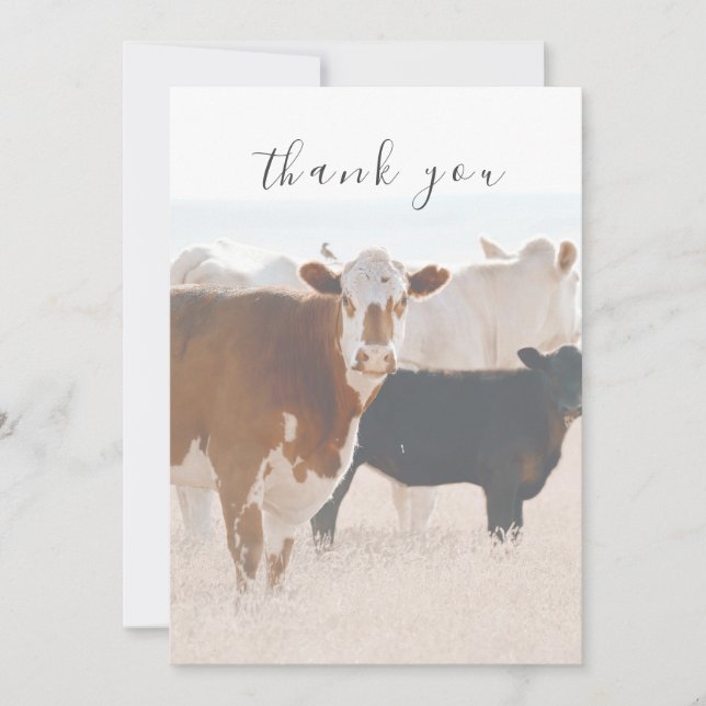 Rustic Country Cows In Field Flat Thank You Card (Front)