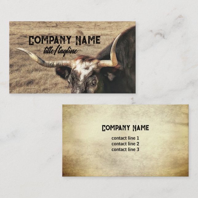 rustic country longhorn cow photography  business card (Front/Back)