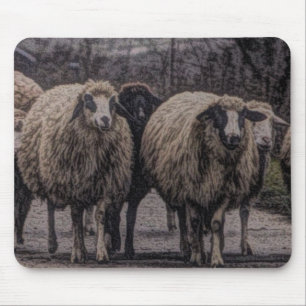 Rustic country road ranch farm herd of sheep mouse mat