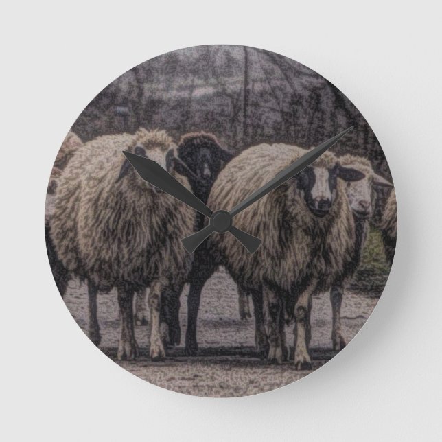 Rustic country road ranch farm herd of sheep round clock (Front)