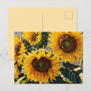 Rustic Country Sunflowers On Barnboard Print Postcard