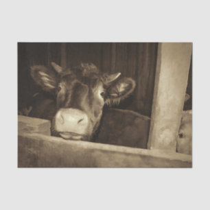 Rustic Country Vintage Sepia Cow Old Barn Tissue Paper