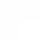 Rustic Country Wedding | Sunflower String Lights