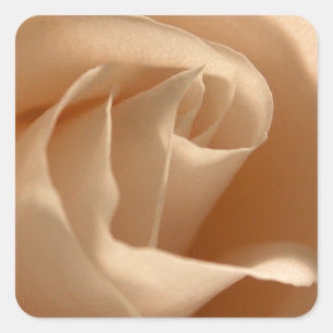 Rustic Cream Coloured Rose Wedding Envelope Seal