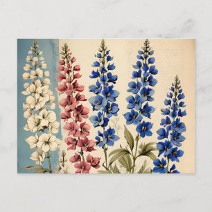 Rustic Delphinium Botanical Postcard
