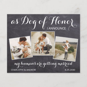 Rustic Dog Of Honour Budget Wedding Save The Date