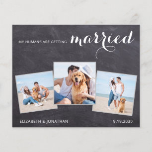 Rustic Dog Wedding 3 Photo Budget Save The Date