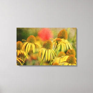 Rustic Echinacea Flowers Canvas Print