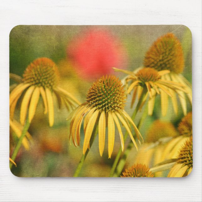 Rustic Echinacea Flowers Mouse Mat (Front)