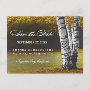 Rustic Fall Birch Tree Country Save The Date Announcement Postcard