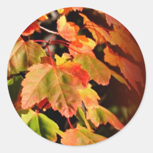 Rustic Fall In Love Wedding Envelope Seal Sticker