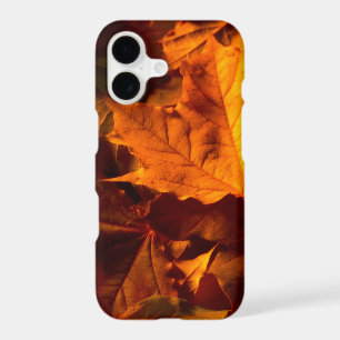 Rustic Fall Leaves Autumn Foliage Photo