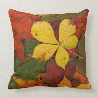 Rustic Fall Leaves Covering Ground Cushion