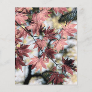 Rustic fall maple leaves rusty red pink brown