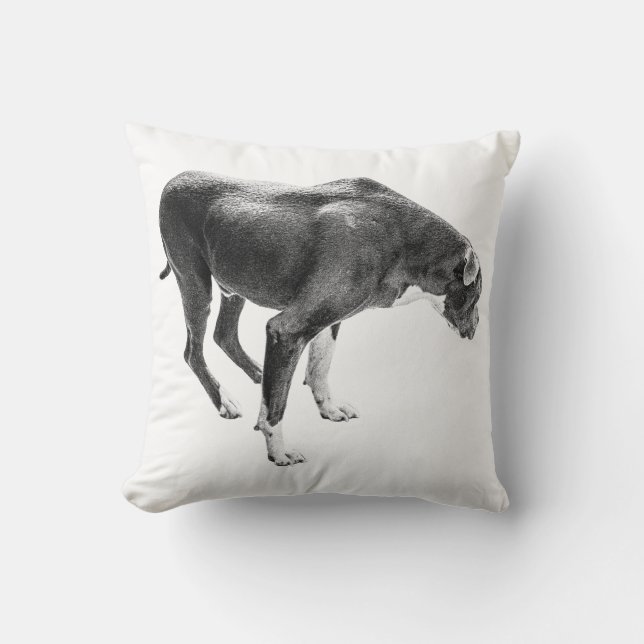 Rustic Fall Protector Cushion (Front)