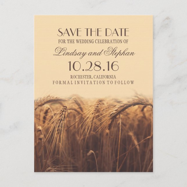 Rustic fall save the date postcards with wheat (Front)