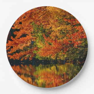 Rustic Fall Wedding Colours Autumn Reflection Paper Plate
