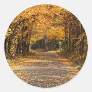 Rustic Falling Leaves Classic Round Sticker