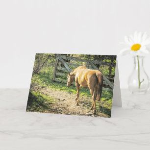 Rustic Farm Horse Card