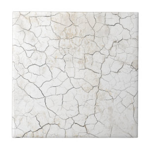 Rustic Faux Cracked Porcelain Texture Tile