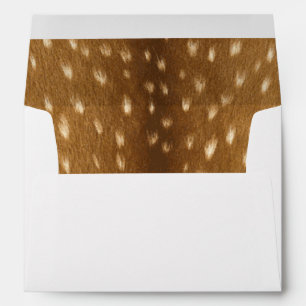 Rustic Fawn Deer Inside Print Envelope