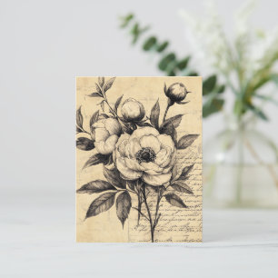 Rustic Floral Sketch with Calligraphy - Aged (9) Postcard