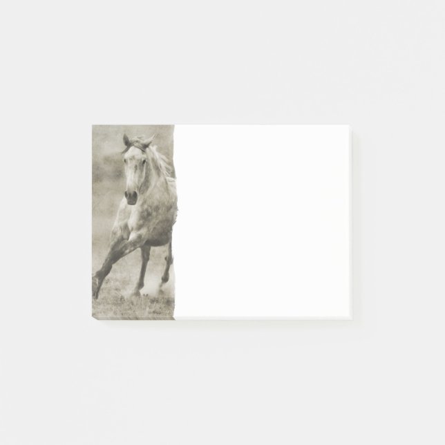 Rustic Galloping Andalusian Horse Post-it Notes (Front)