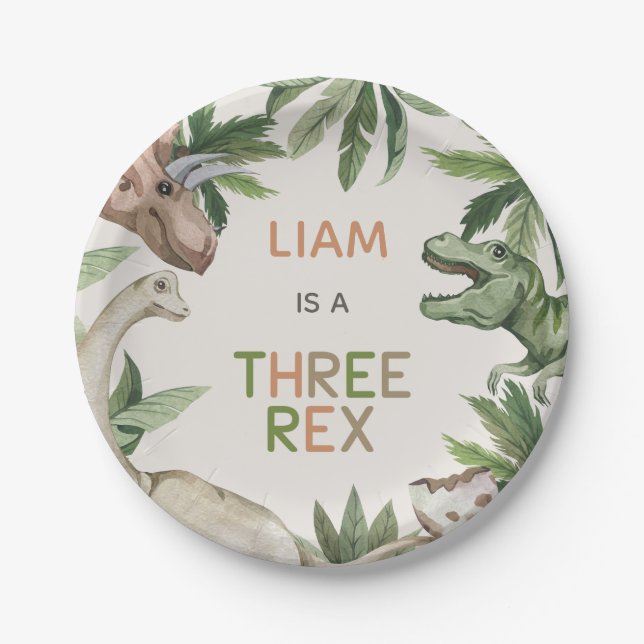 Rustic Green Dinosaur Three Rex 3rd Birthday  Paper Plate (Front)