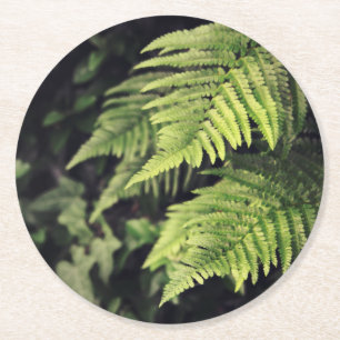 Rustic Green Fern Coasters