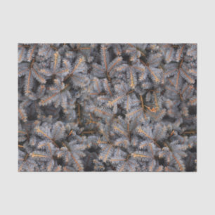 Rustic Greenery White Pine Tree Cottagecore Forest Tissue Paper