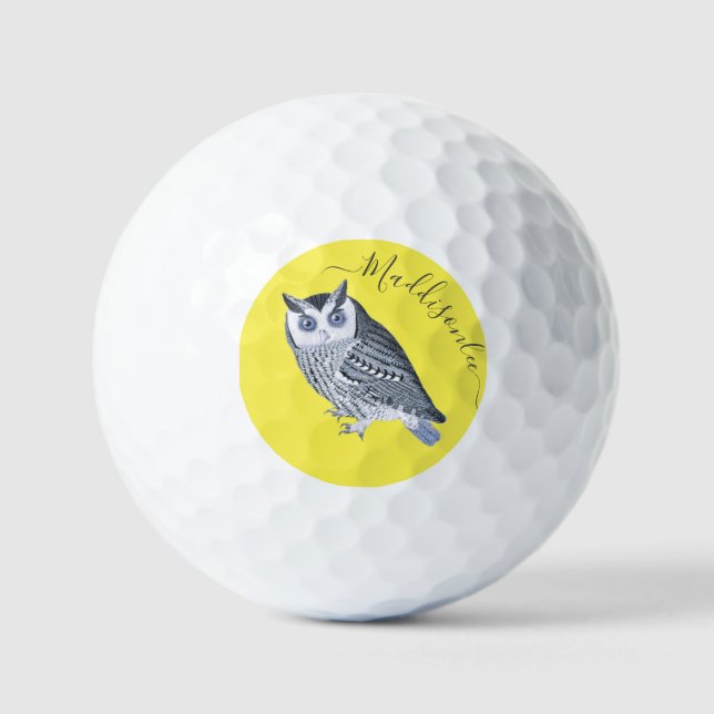 Rustic Grey Blue Owl Yellow Monogram Name Golf Balls (Front)