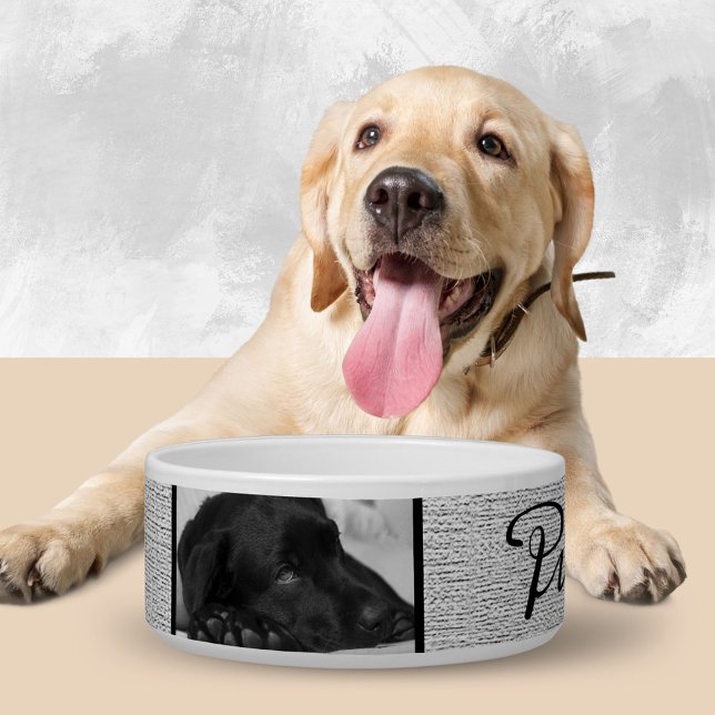 Rustic Grey Dog`s Name in Black Script 2 Photo  (Creator Uploaded)