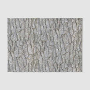 Rustic Grey Tree Bark Tissue Paper