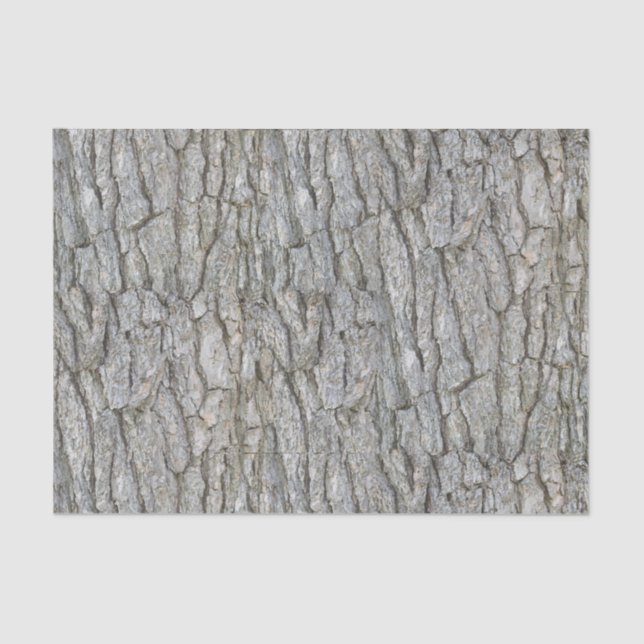 Rustic Grey Tree Bark Tissue Paper (Front)