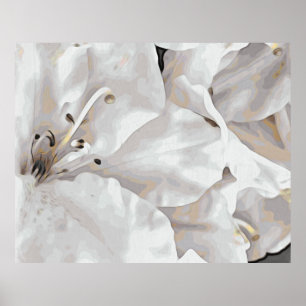 *~* Rustic Grunge Azalea Flowers White Neutral  Poster