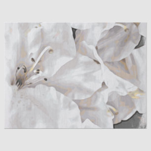 *~* Rustic Grunge Azalea Flowers White Neutral Tissue Paper