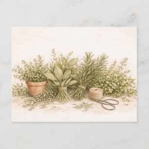 Rustic Herb Bundle Botanical Watercolor Still Life Postcard