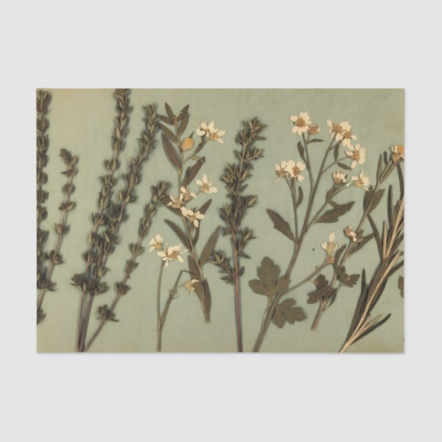 Rustic Herb & Wildflower Tissue Paper (Front)