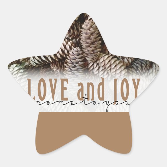 Rustic Holiday Love and Joy Pine Cone Star Sticker (Front)