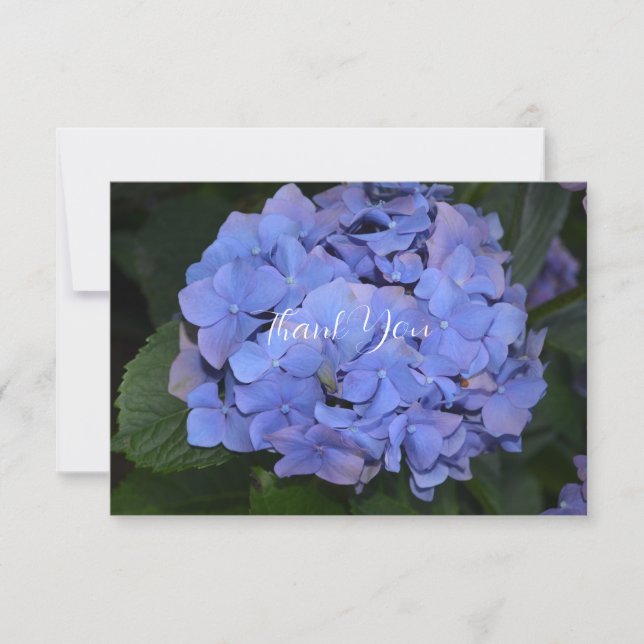 Rustic Hydrangea Purple Thank You Card (Front)