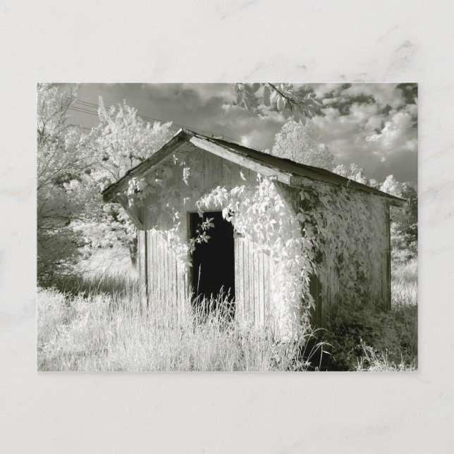Rustic infrared shed postcard (Front)