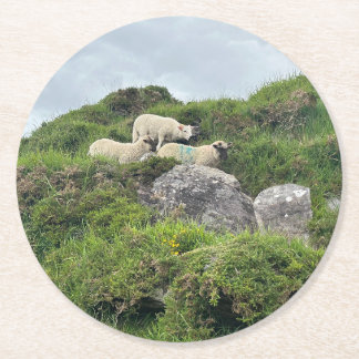 Rustic Ireland Three Irish Sheep  Round Paper Coaster